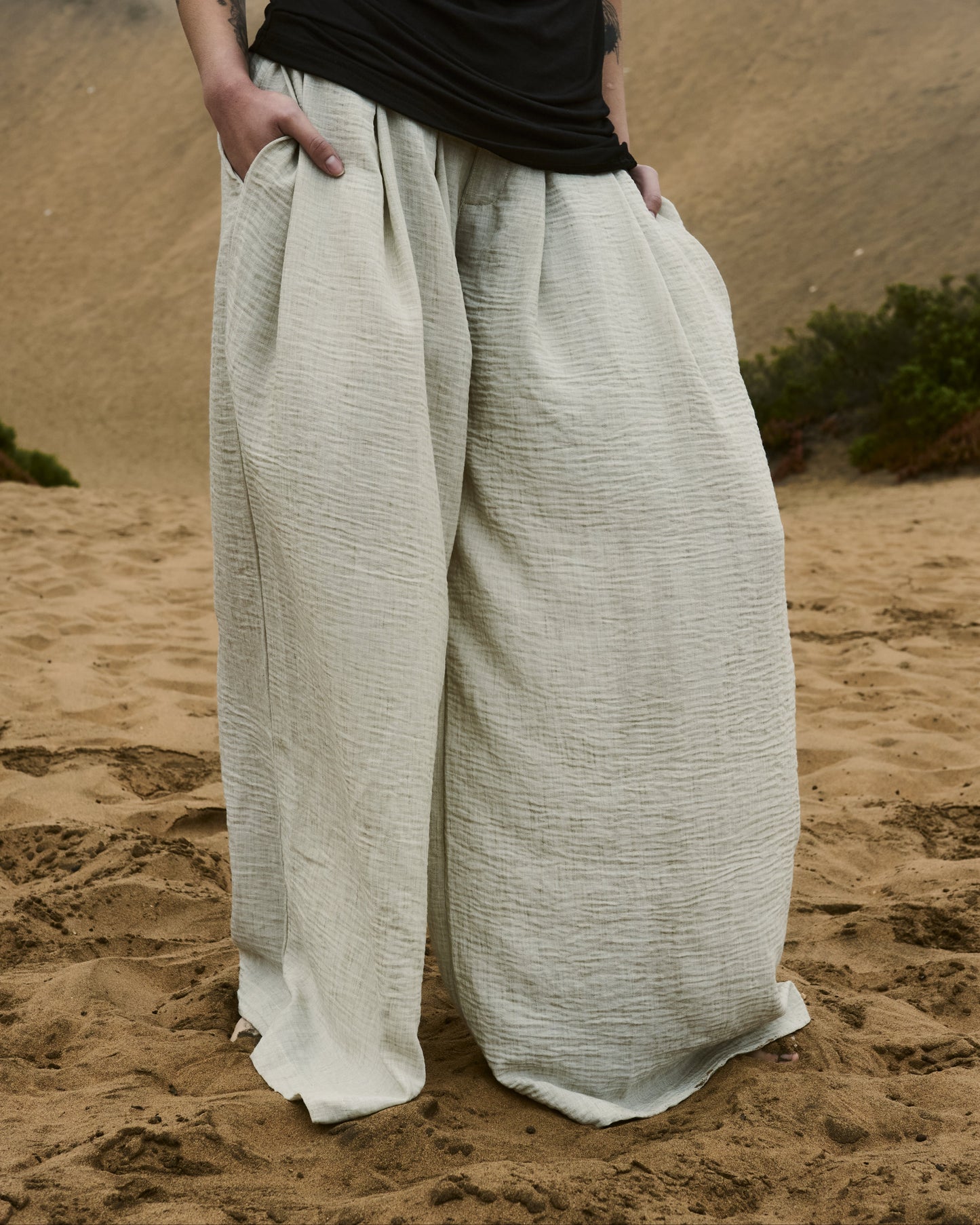 Kaze Pleated Pants