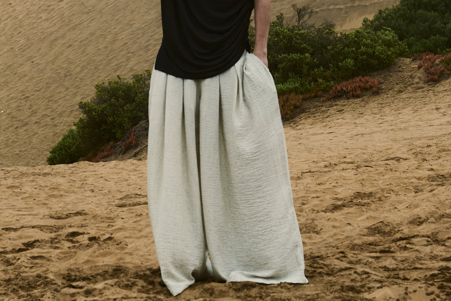 Kaze Pleated Pants